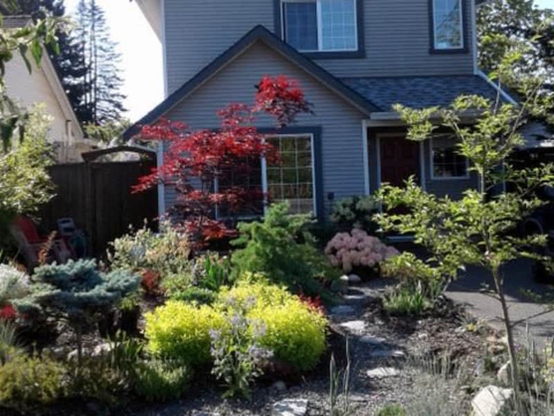 Housesitting assignment in Courtenay, British Columbia, Canada