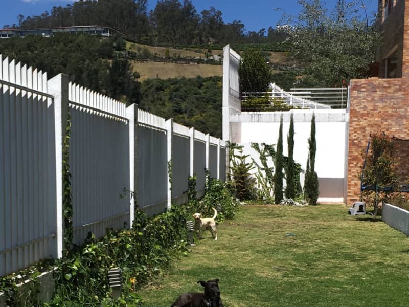 Housesitting assignment in Quito, Ecuador