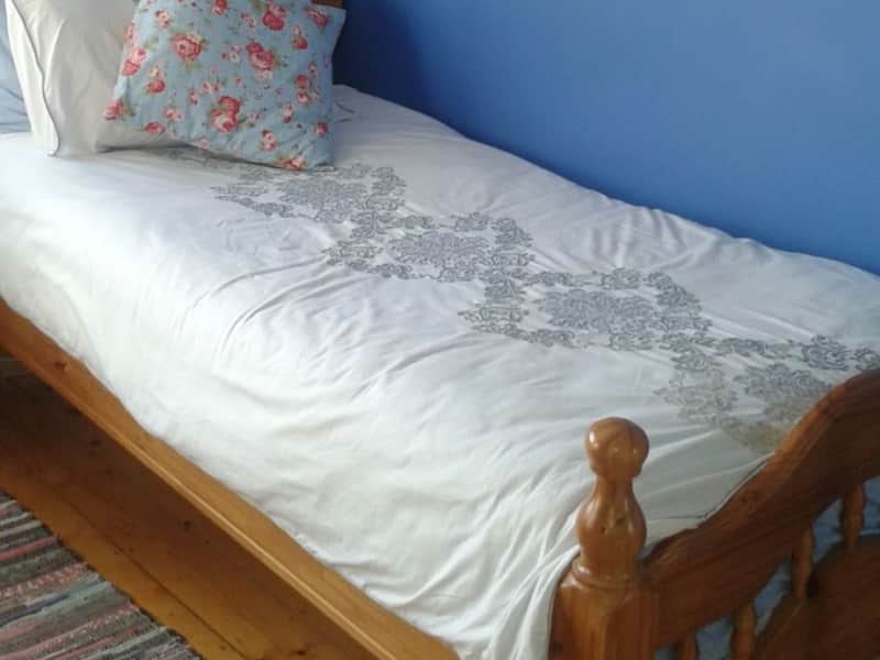 Housesitting assignment in Dublin, Ireland