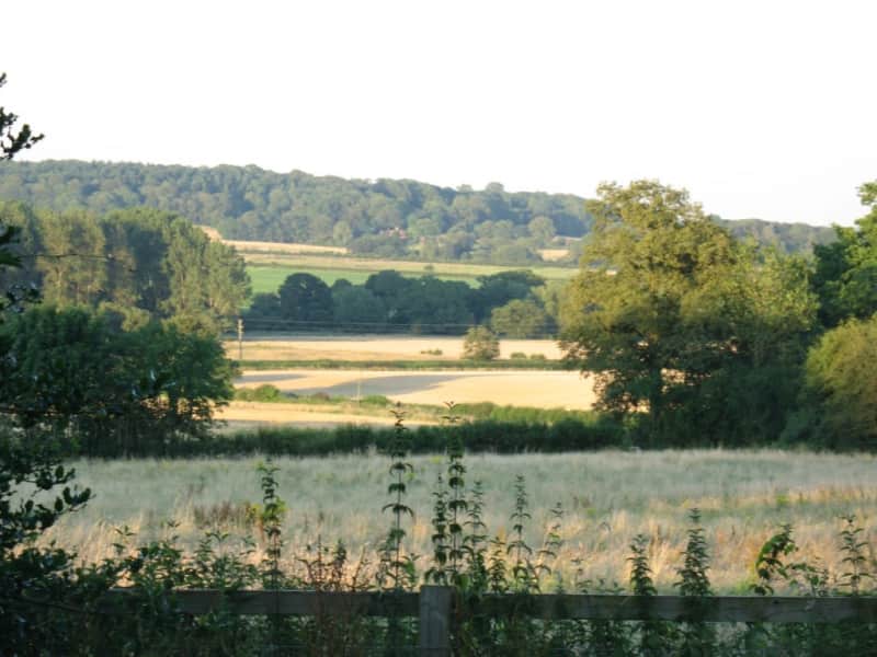 Housesitting assignment in Bucklebury, United Kingdom