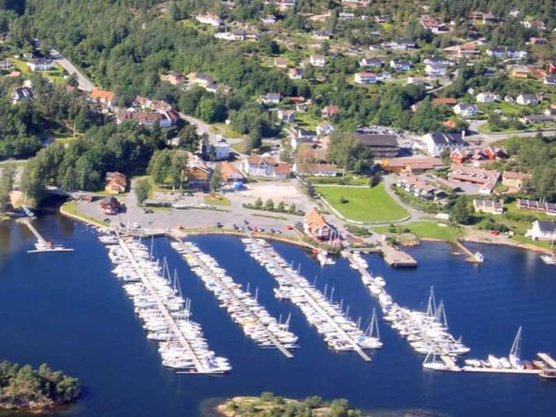 Housesitting assignment in Åros, Norway