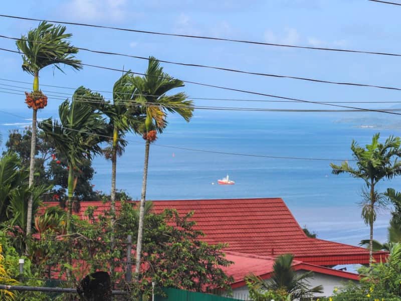 Housesitting assignment in Suva, Fiji
