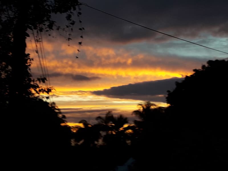 Housesitting assignment in Le Tampon, Reunion
