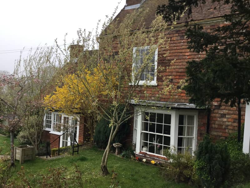 Housesitting assignment in Dover, United Kingdom