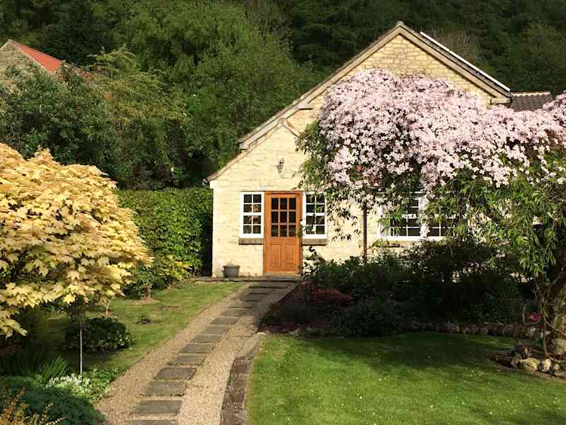 Housesitting assignment in Wass, United Kingdom