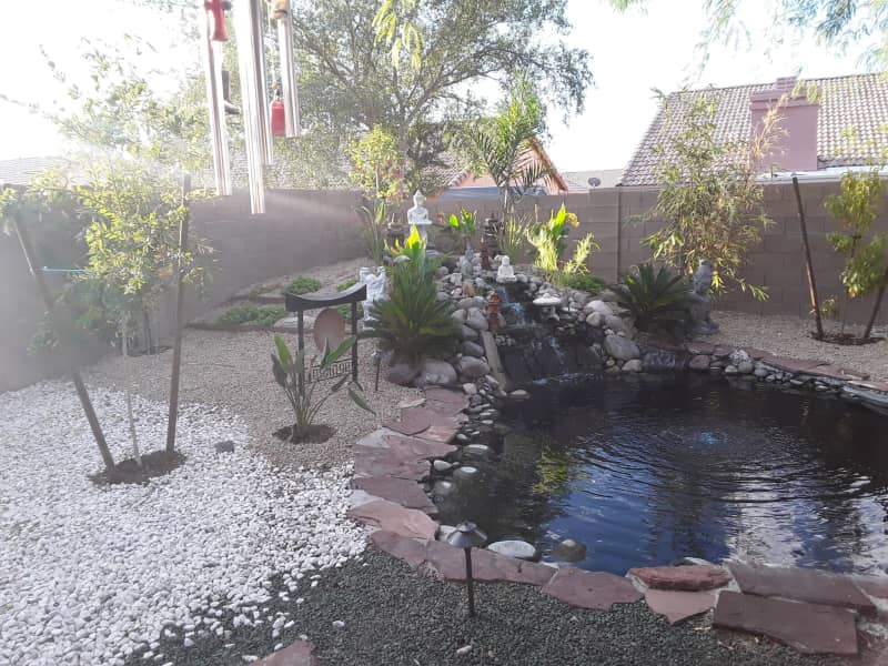 Housesitting assignment in Apache Junction, Arizona, United States