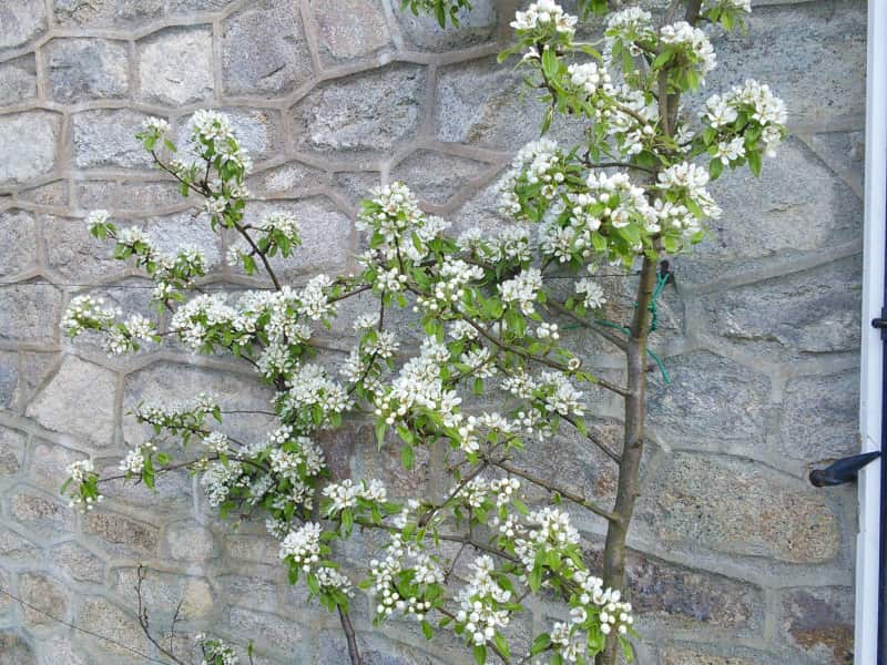 Housesitting assignment in Treignac, France