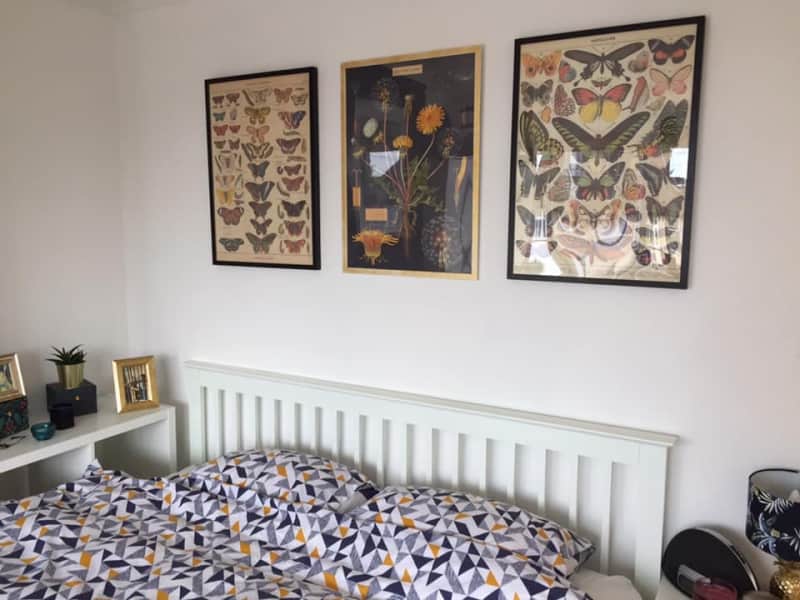 Housesitting assignment in Stopsley, United Kingdom