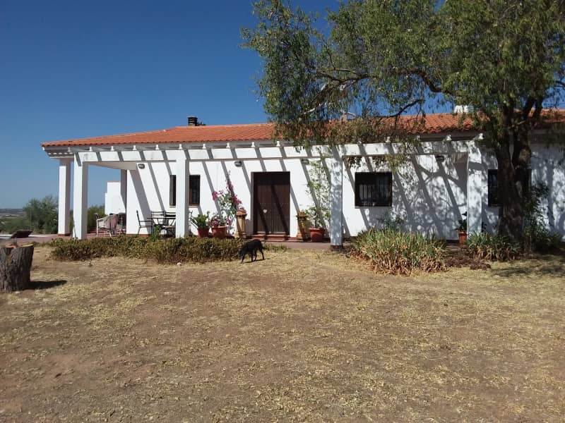 Housesitting assignment in Zafra, Spain