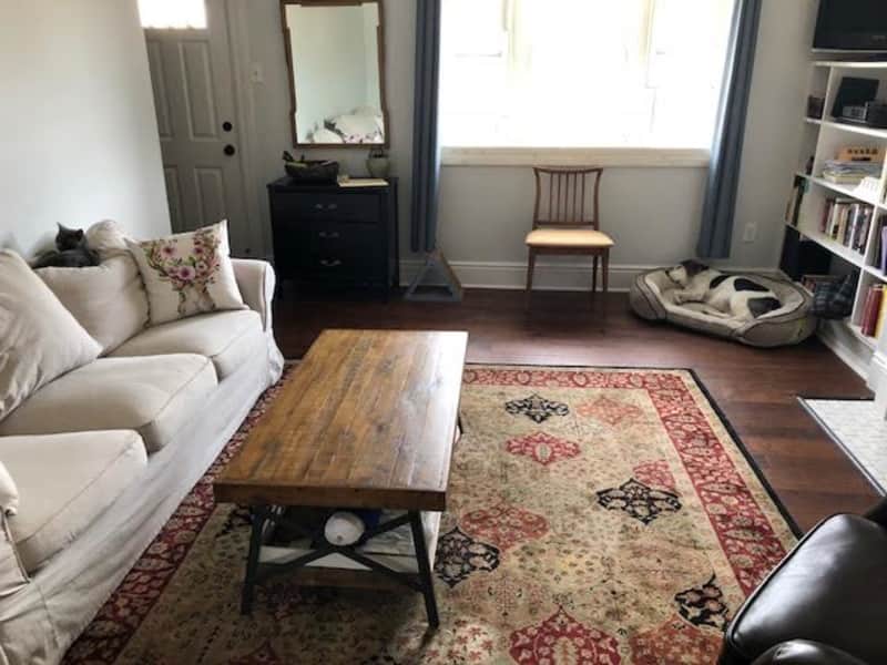 Housesitting assignment in Pittsburgh, Pennsylvania, United States