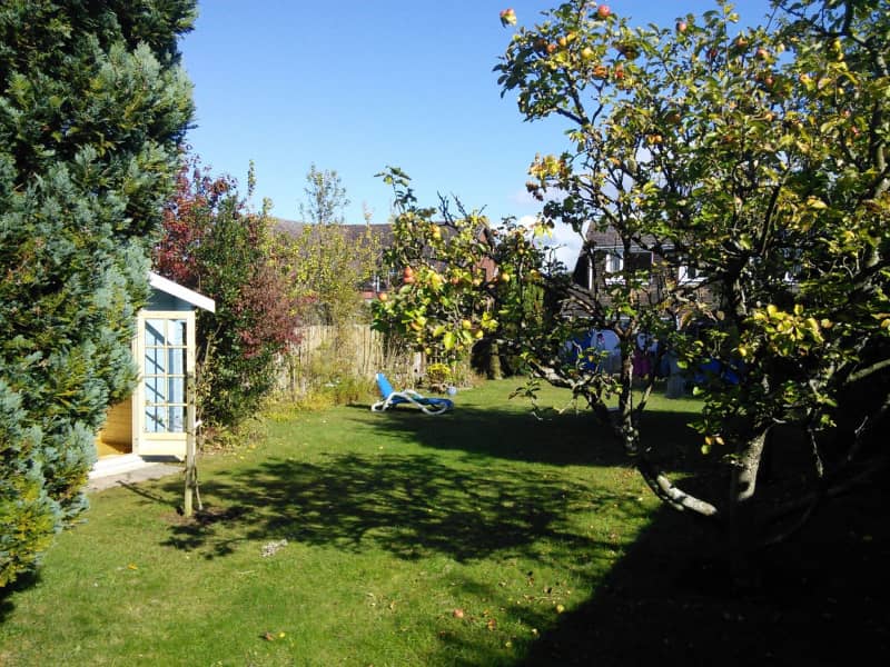 Housesitting assignment in Sherborne St John, United Kingdom