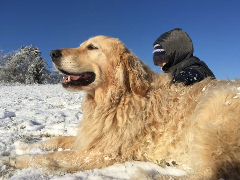 Housesitting assignment in Schaffhausen, Switzerland