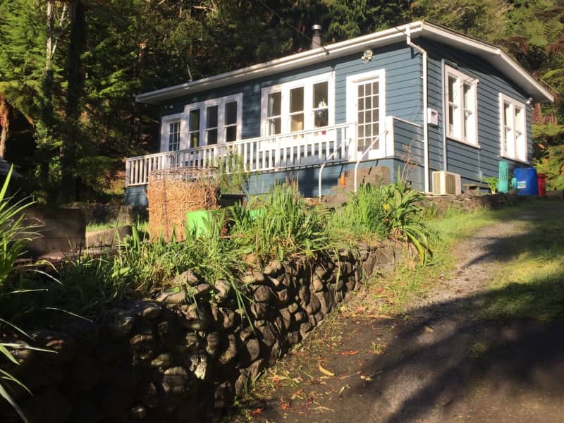 Housesitting assignment in Wellington, New Zealand