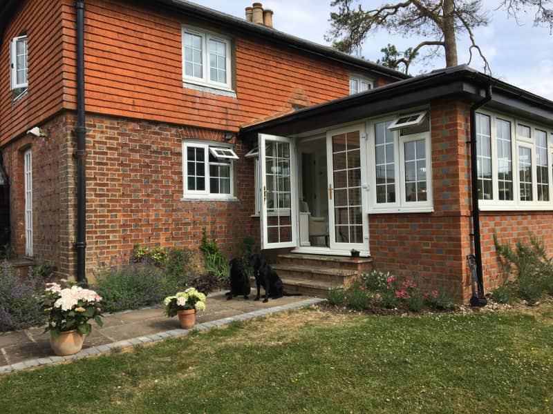 Housesitting assignment in Basingstoke, United Kingdom