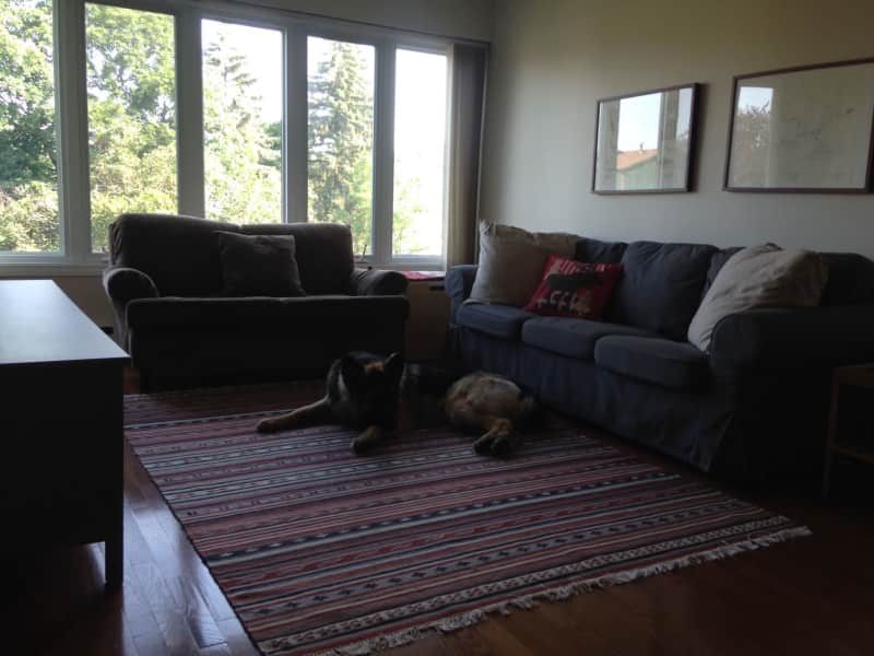 Housesitting assignment in Gloucester, Ontario, Canada