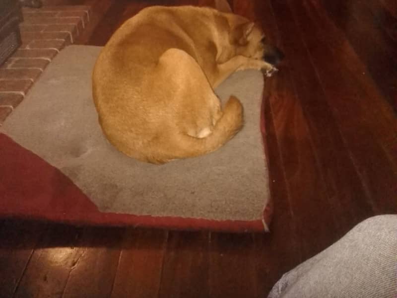 Chris from Cairns, Queensland, Australia