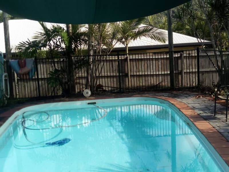 Housesitting assignment in Trinity Beach, Queensland, Australia
