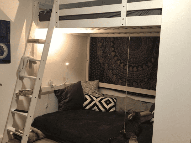 Housesitting assignment in Karlsruhe, Germany