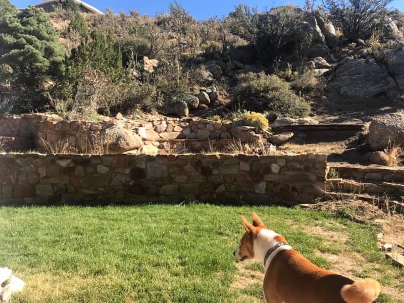 Housesitting assignment in Albuquerque, New Mexico, United States