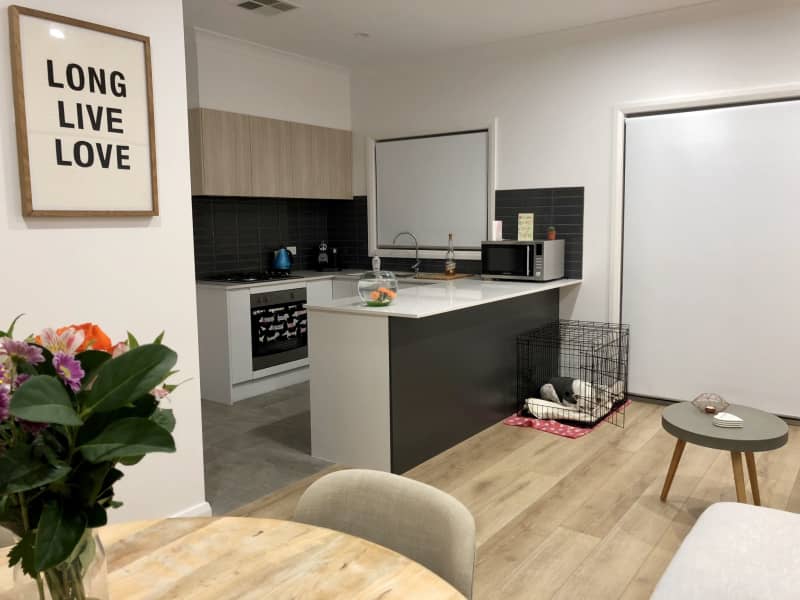 Housesitting assignment in Newcastle, New South Wales, Australia