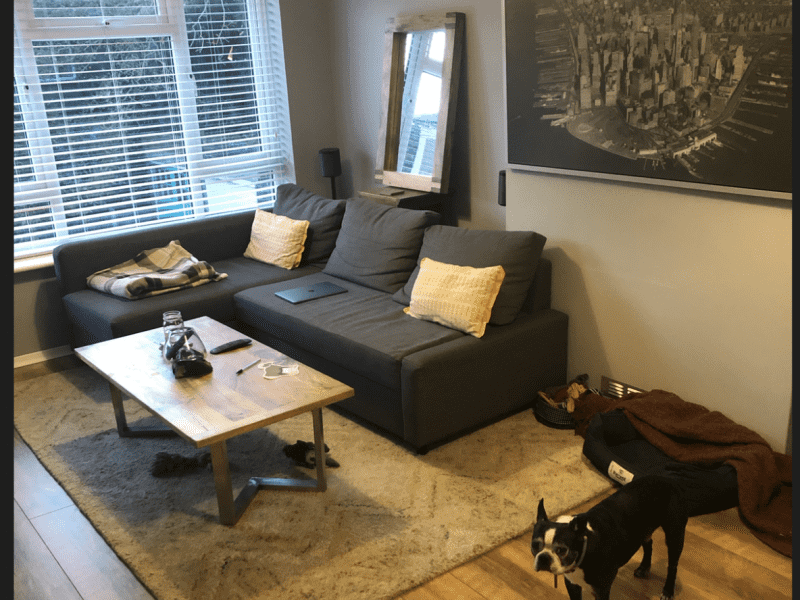 Housesitting assignment in Isleworth, United Kingdom