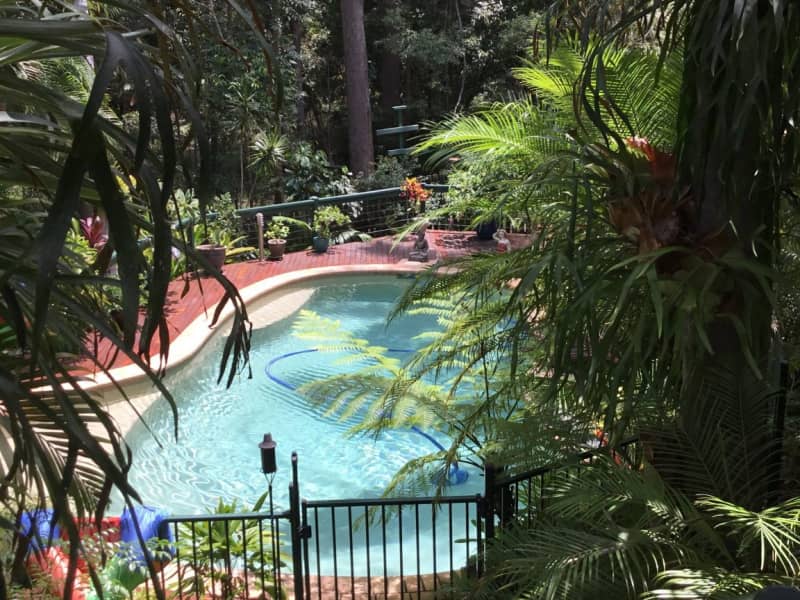 Housesitting assignment in Buderim, Queensland, Australia