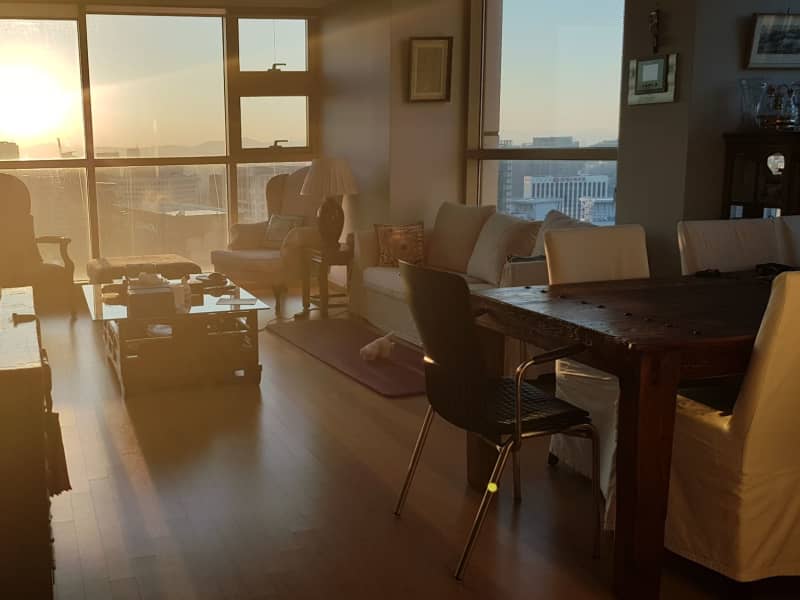 Housesitting assignment in Seoul, South Korea