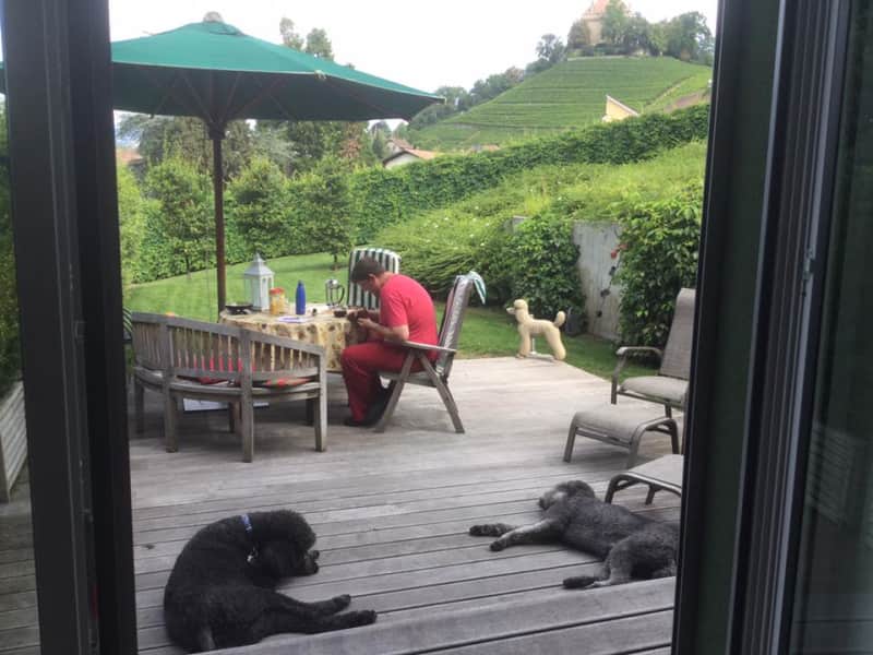 Housesitting assignment in Montreux, Switzerland
