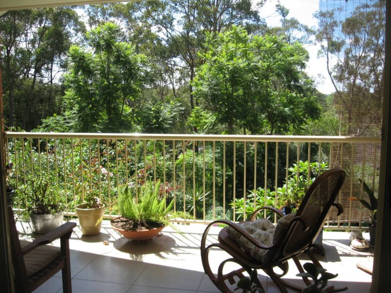 Housesitting assignment in Springwood, New South Wales, Australia