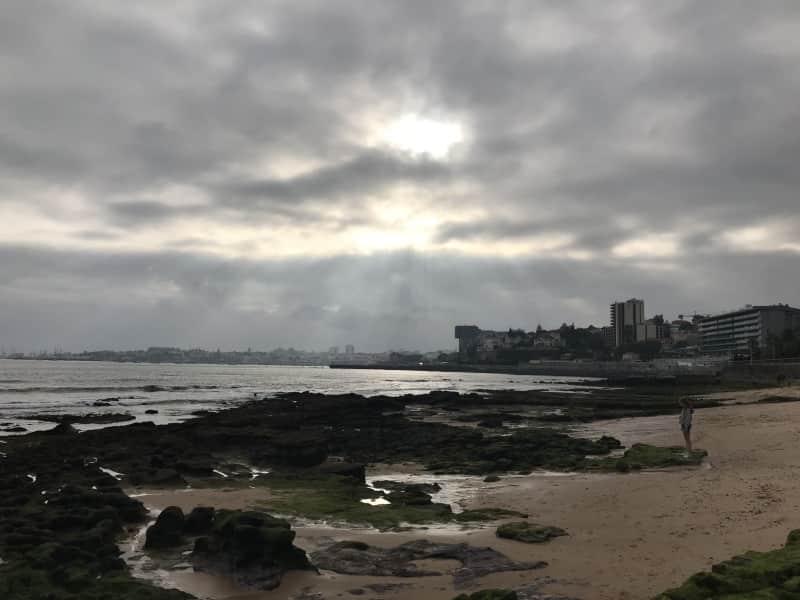Housesitting assignment in Estoril, Portugal