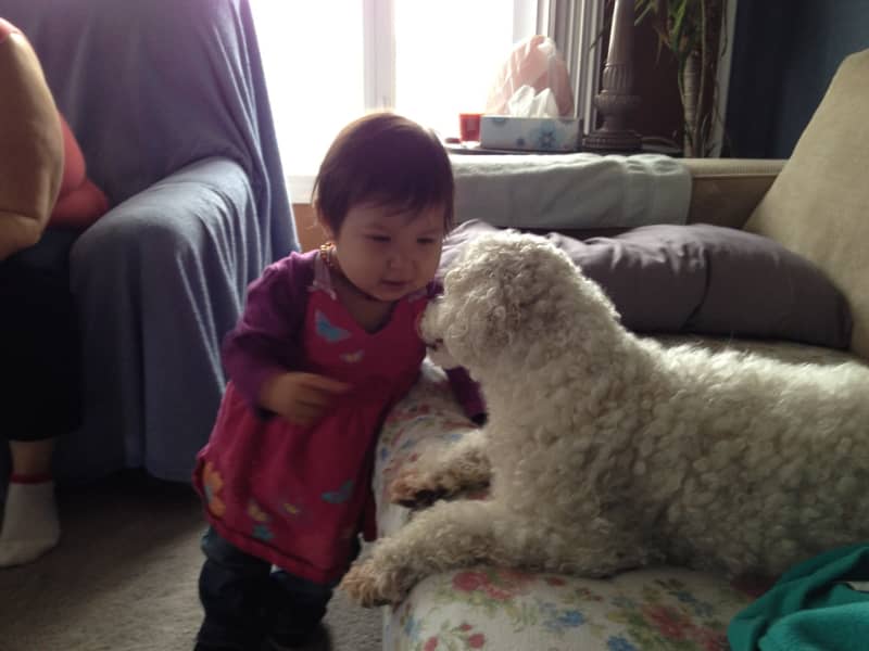 Eade from Fort Macleod, Alberta, Canada