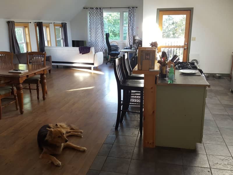 Housesitting assignment in Burlington, Vermont, United States