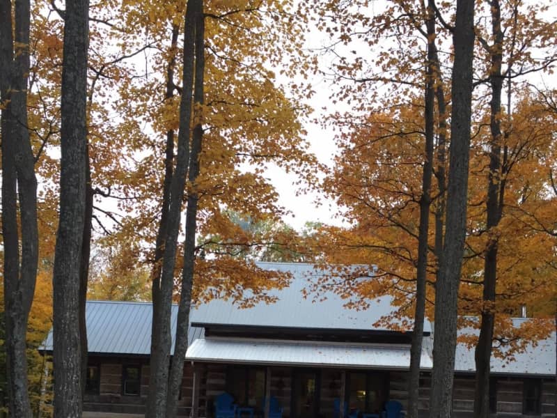 Housesitting assignment in Blue Mountains, Ontario, Canada