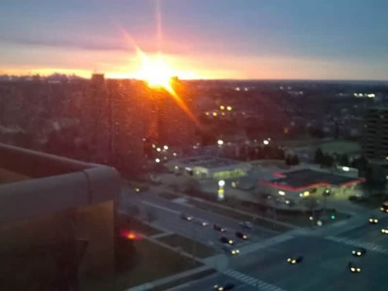 Housesitting assignment in Mississauga, Ontario, Canada
