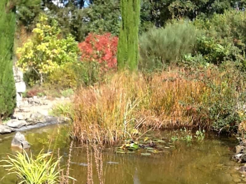 Housesitting assignment in Couhé, France