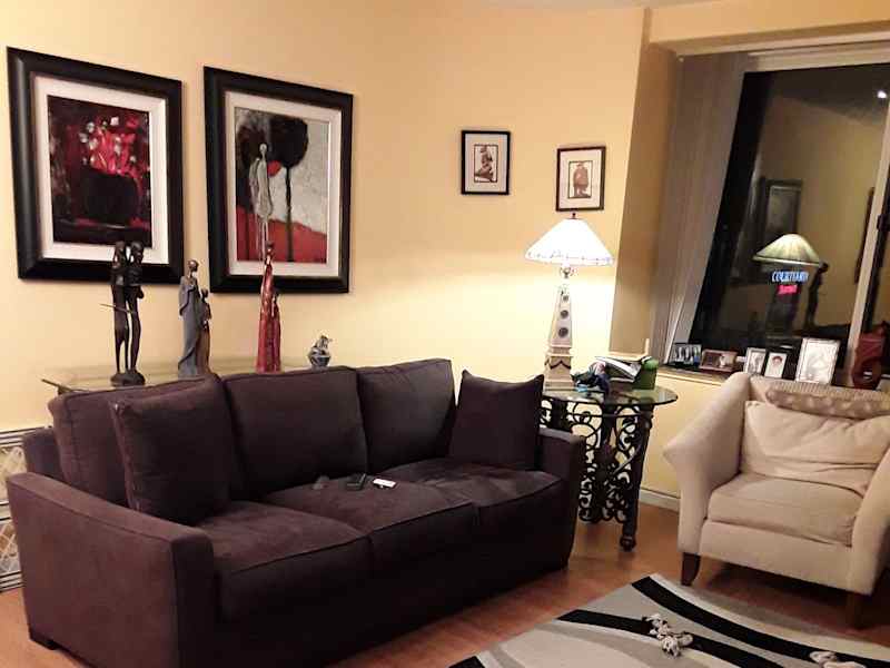 Housesitting assignment in Chicago, Illinois, United States