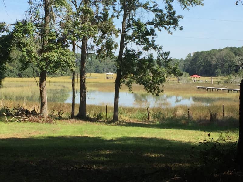 Housesitting assignment in Charleston, South Carolina, United States