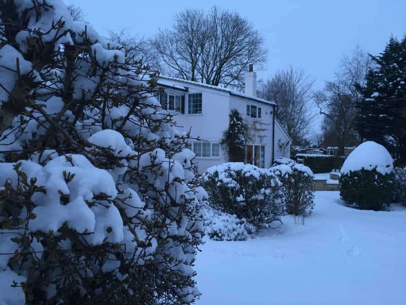 Housesitting assignment in Horsham St Faith, United Kingdom