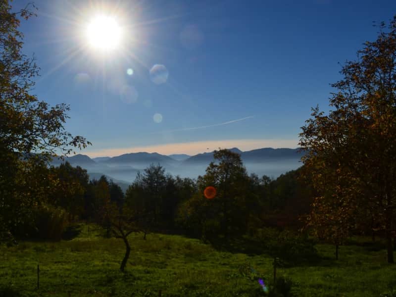 Housesitting assignment in Rivello, Italy