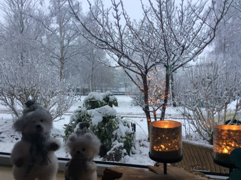 Housesitting assignment in Hoofddorp, Netherlands