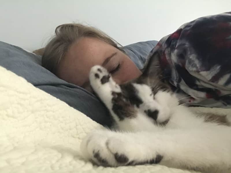 Housesitting assignment in Loveland, Colorado, United States