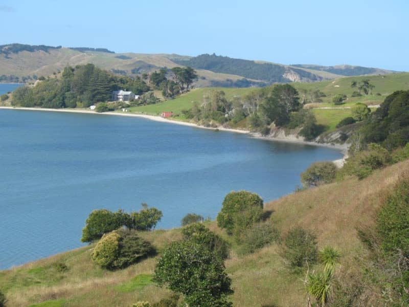 Housesitting assignment in Maungaturoto, New Zealand