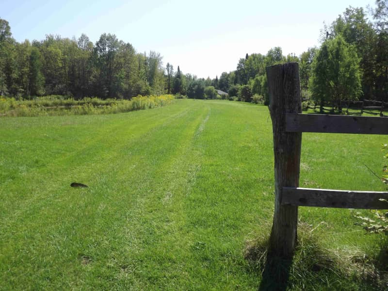 Housesitting assignment in Pefferlaw, Ontario, Canada