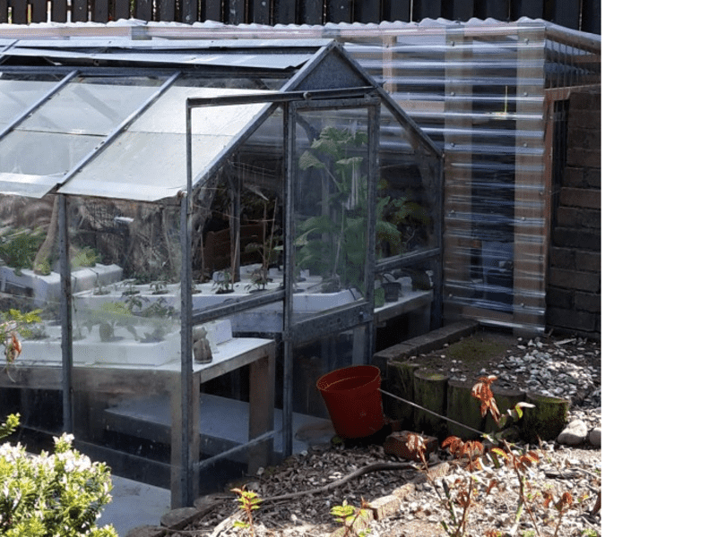 Housesitting assignment in Porirua, New Zealand