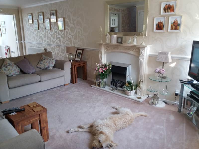 Housesitting assignment in Solihull, United Kingdom