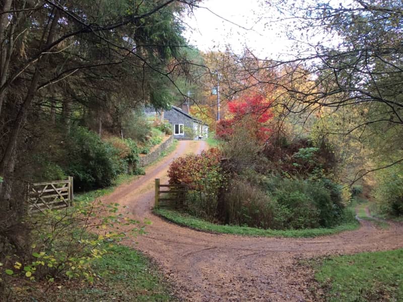 Housesitting assignment in Llangollen, United Kingdom