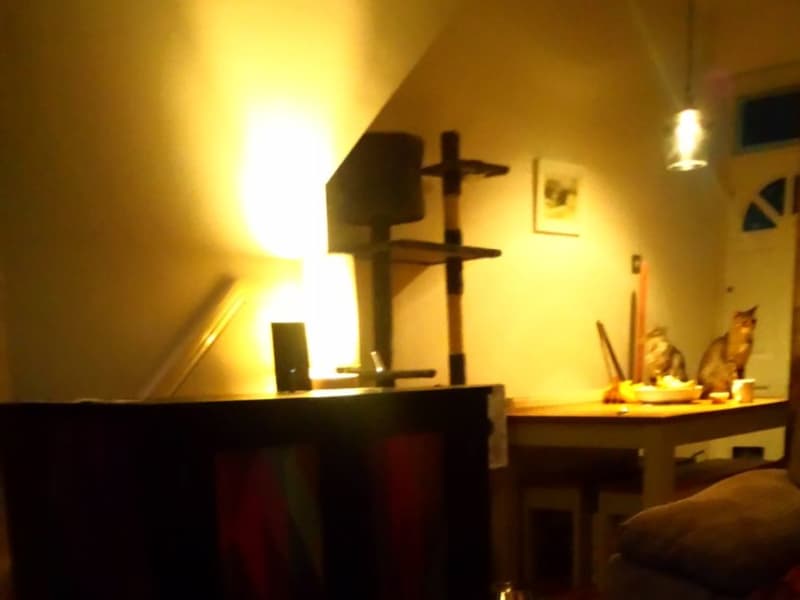 Housesitting assignment in Rawdon, United Kingdom