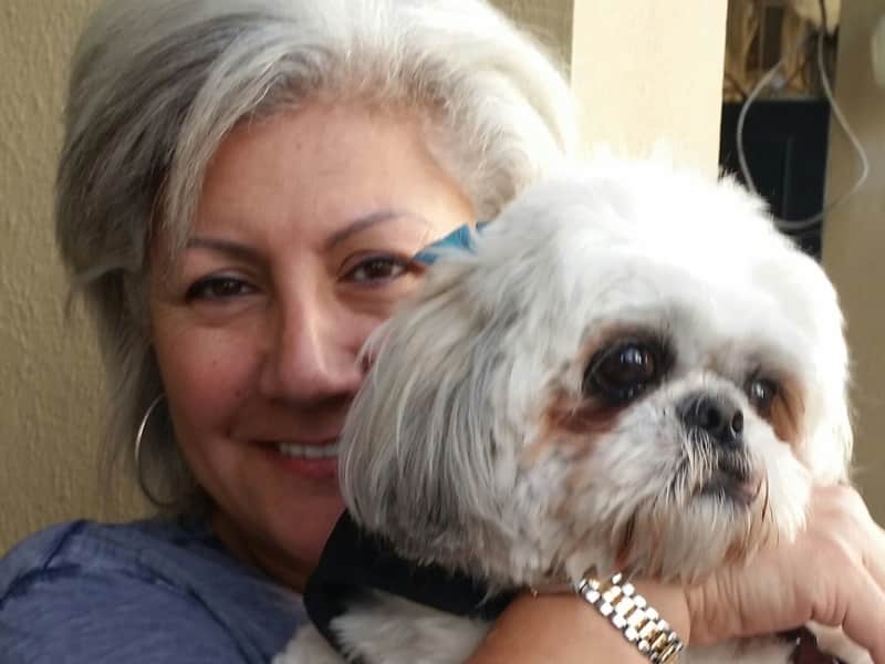 Housesitting assignment in Tel Aviv, Israel