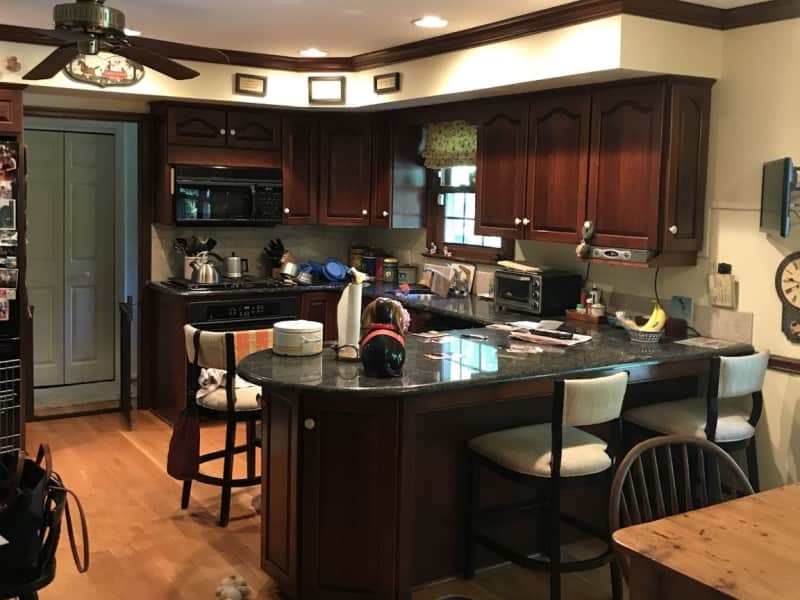 Housesitting assignment in Berwyn, Pennsylvania, United States