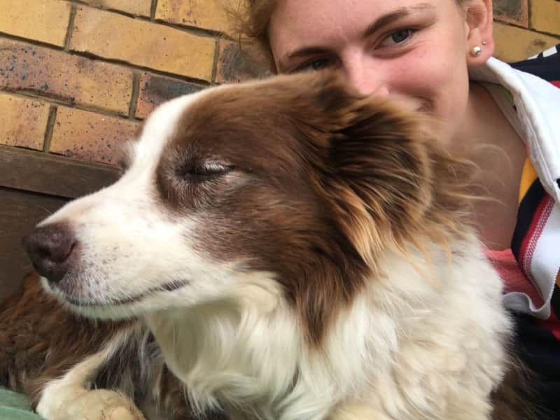 Housesitting assignment in Withcott, Queensland, Australia